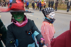 20180209_144659(0) (Large)