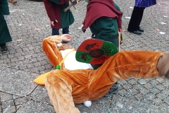 20180209_172406 (Large)