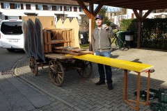 Xolos-Fasi-2020-10-Groß