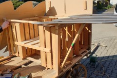 Xolos-Fasi-2020-7-Groß