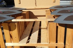 Xolos-Fasi-2020-9-Groß